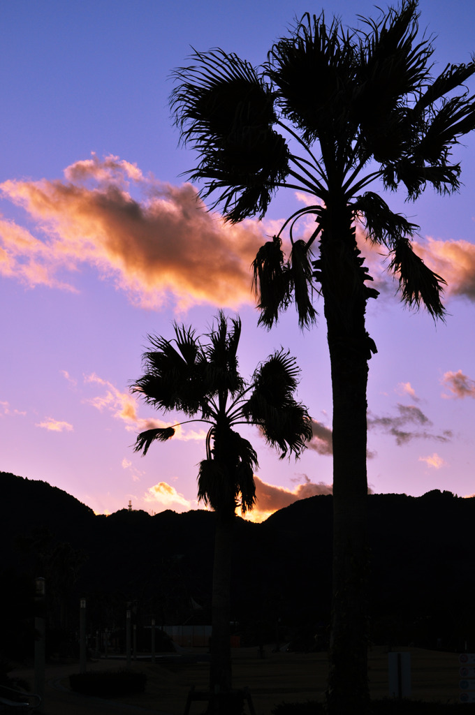 silhouette