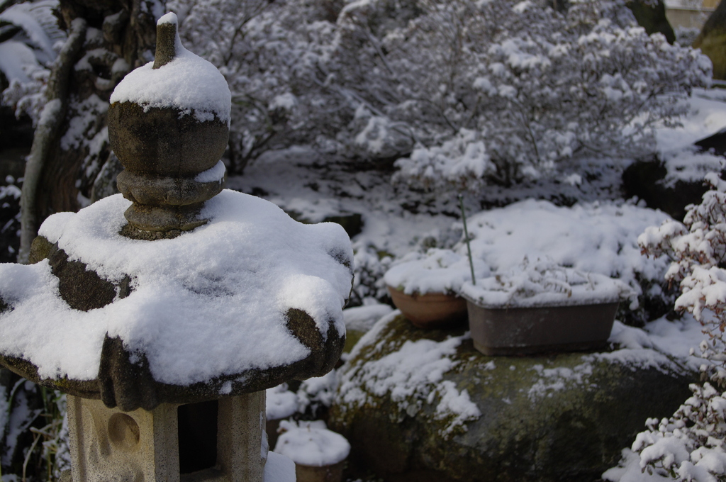 田舎雪
