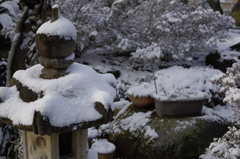 田舎雪