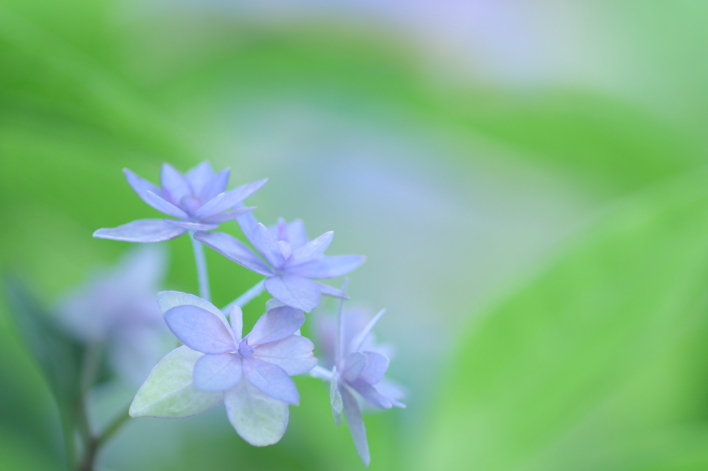 In june