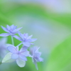 In june