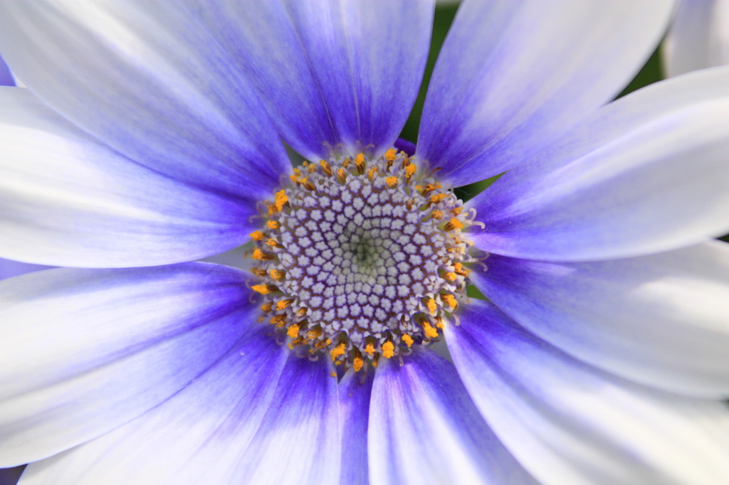 グラデーション