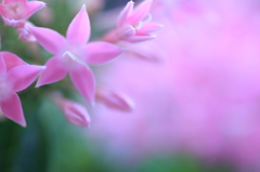星になる時