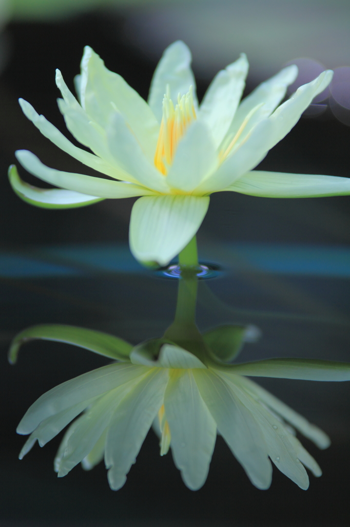 静穏