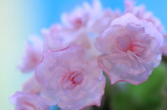華麗