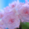 華麗