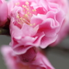 馥郁たる