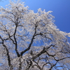 勢