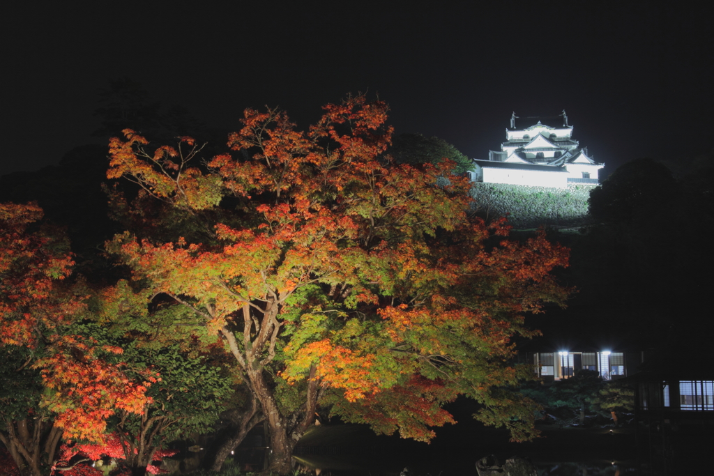 闇に浮かぶ古城
