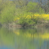 春の揖斐川