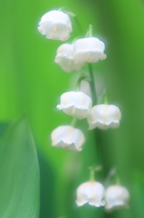 やさしく純粋に