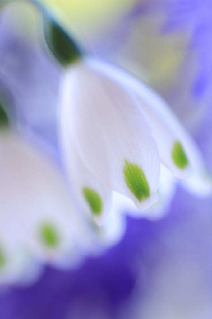 White bell