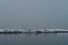 雪舞う、漁港にて。