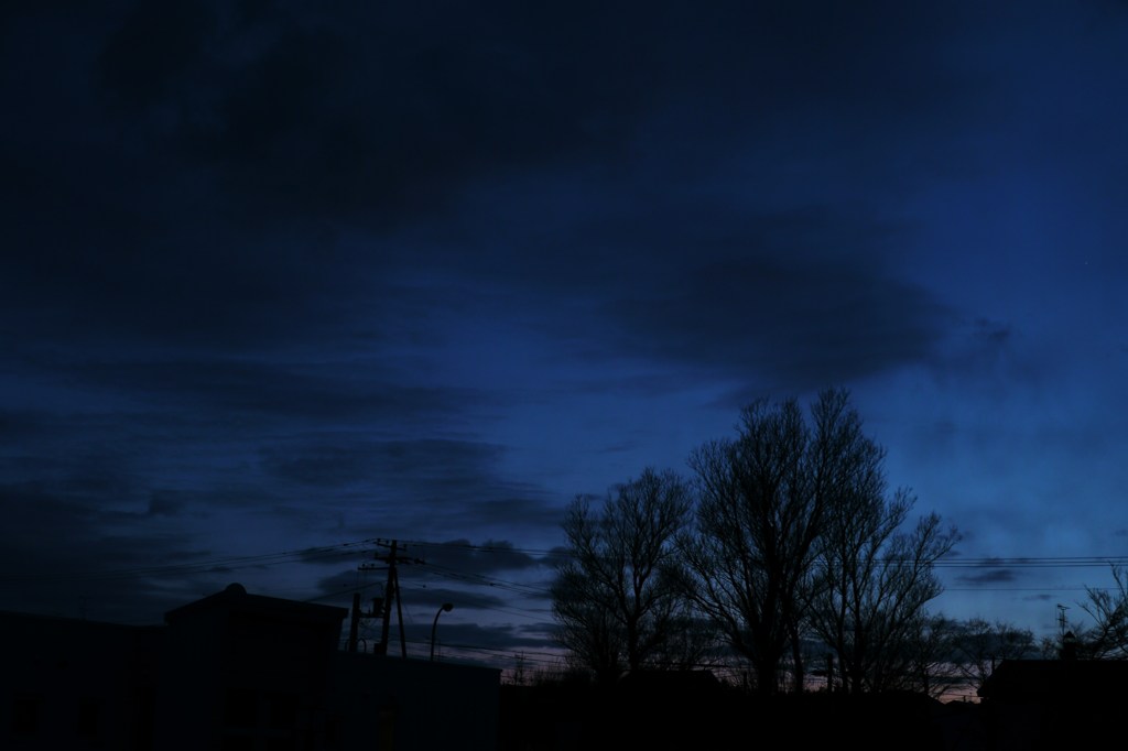 孤独な夕暮れ。