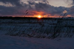 春まだ遠い、利尻の夕景