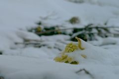 春を感じて