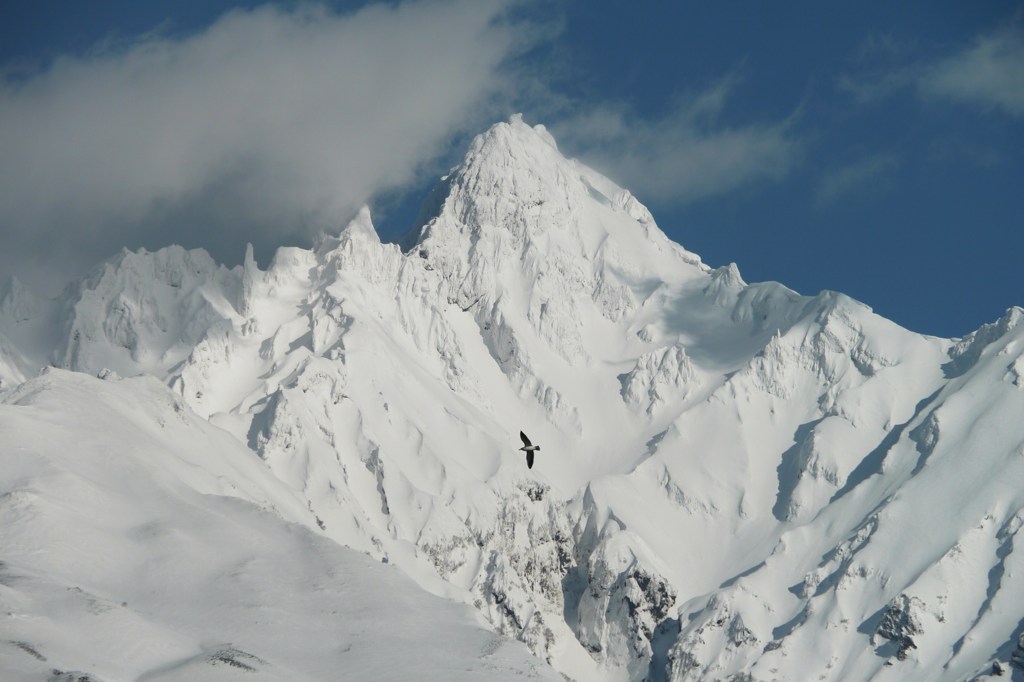 Ｍｔ．ＲＩＳＨＩＲＩ