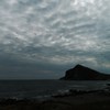ウミネコ出勤中。
