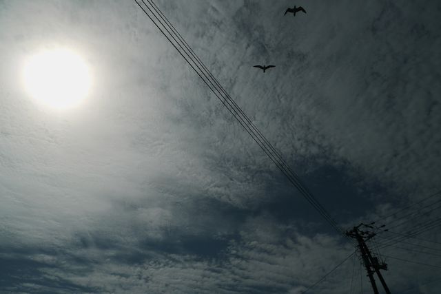 この空を飛べたら。