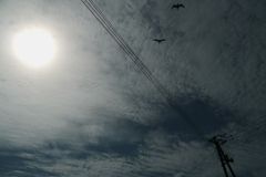 この空を飛べたら。