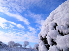 吹雪のあと