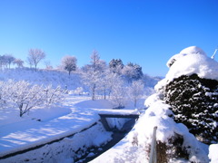 吹雪のあと