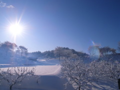 朝靄