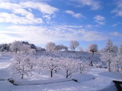 吹雪のあと