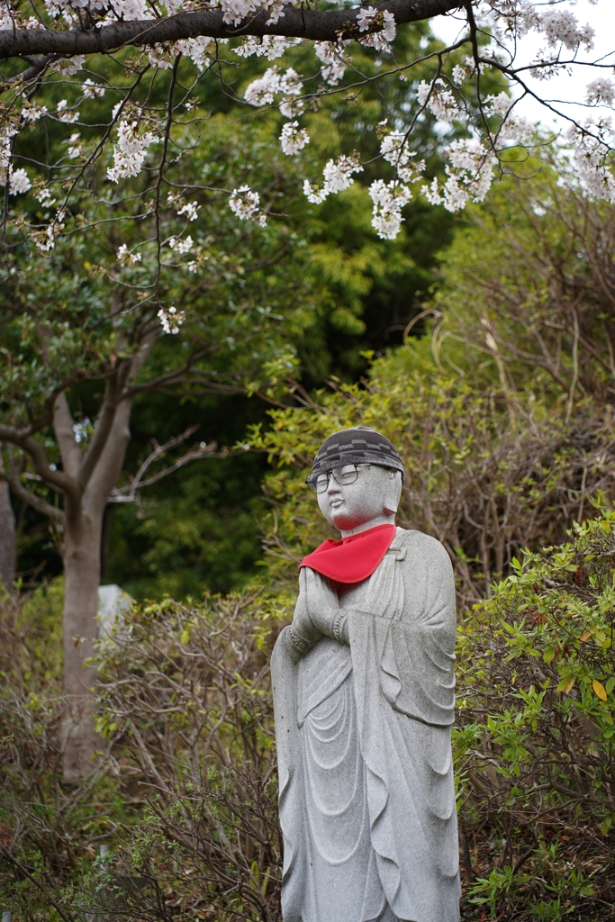 見極めます