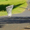 どうする？
