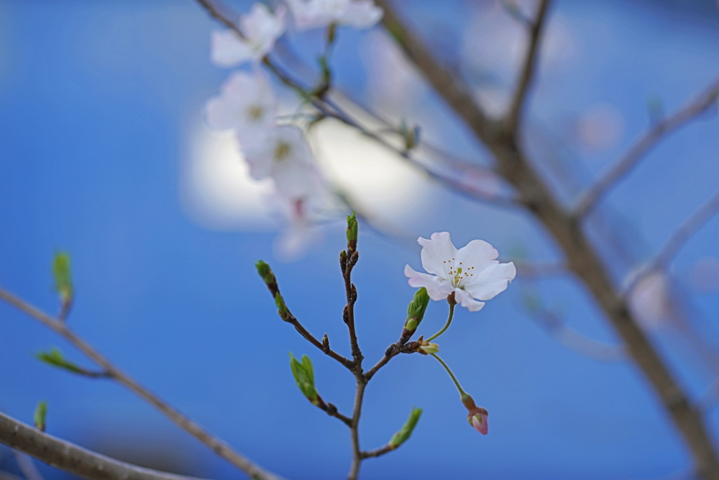 時が来ました