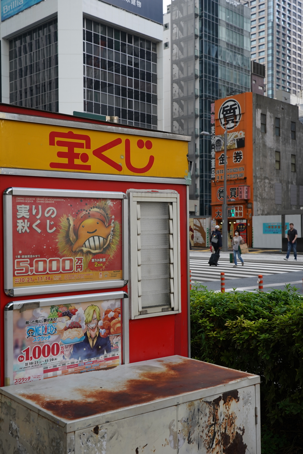 夢を追うか、散るか