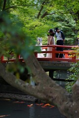 心穏やかに