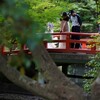 心穏やかに