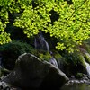 涼を求めて