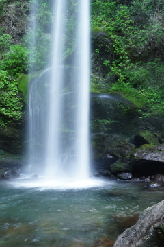 初夏の散策