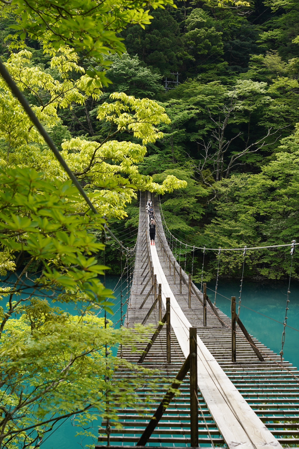 夢の吊り橋