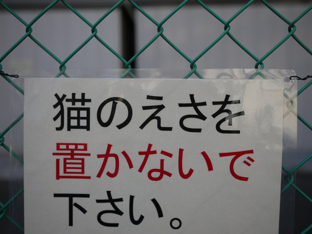 ネコの集会に差し入れ多数