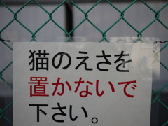 ネコの集会に差し入れ多数