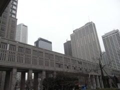 新宿　都庁から