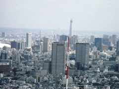 都庁から、スカイタワーを見る。