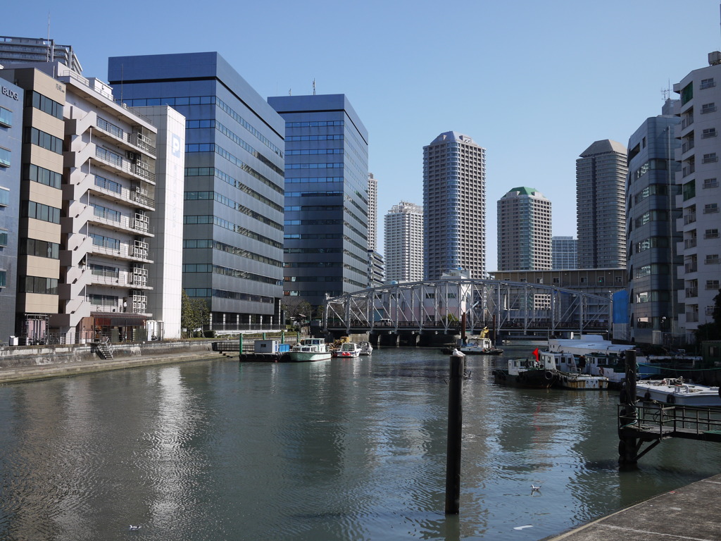 リバーサイドとカモメ