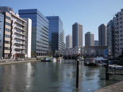 リバーサイドとカモメ