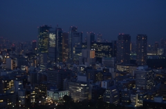 東京タワーからの景色