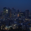 東京タワーからの景色