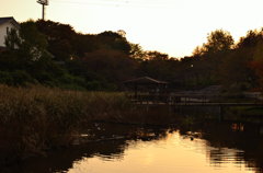 岸根公園の夕暮れ