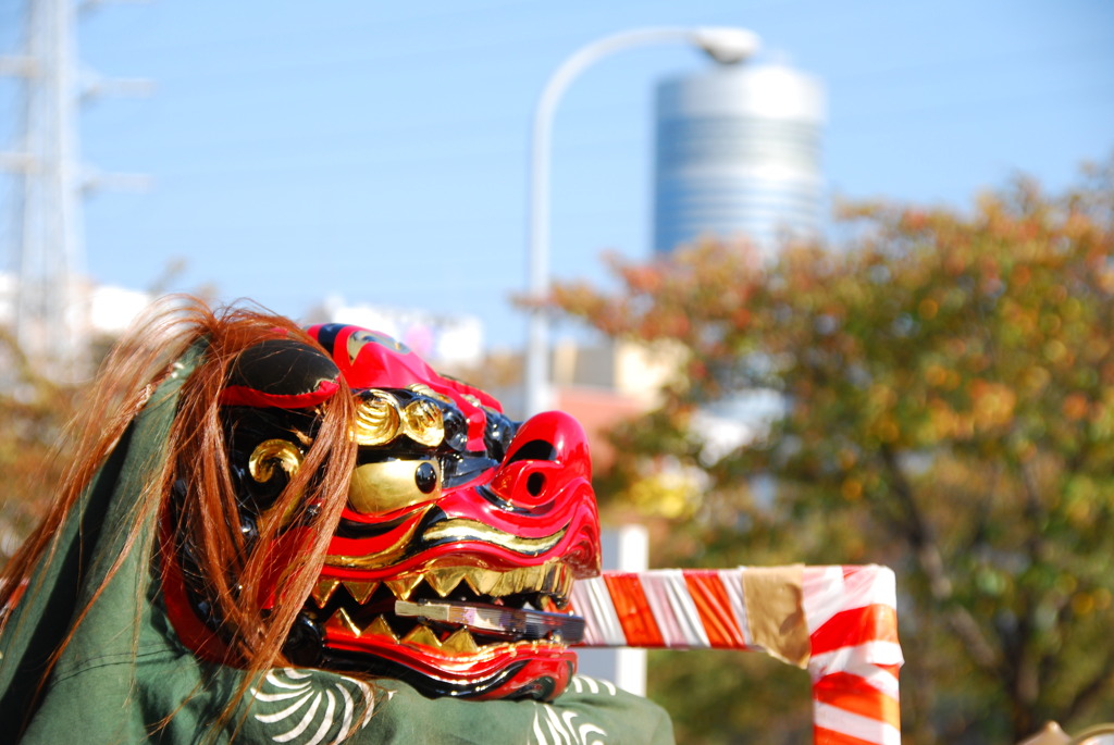 獅子舞 in 新横浜