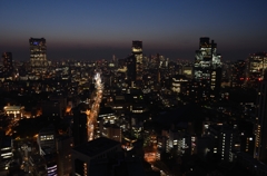 東京タワーからの夜景
