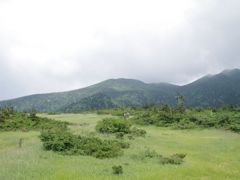 湿原