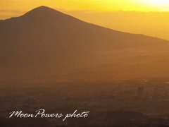 P2087549